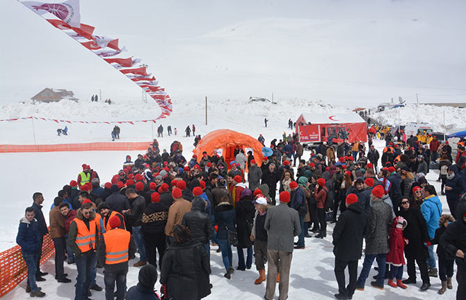 ovit2-003.jpg ovit2-003.jpg