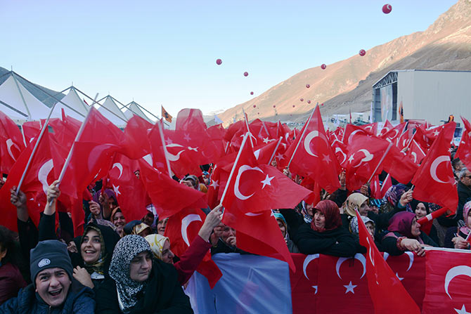 ovit7-001.jpg ovit7-001.jpg