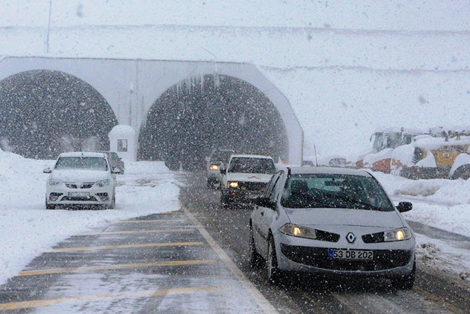 ovit8-002.jpg ovit8-002.jpg