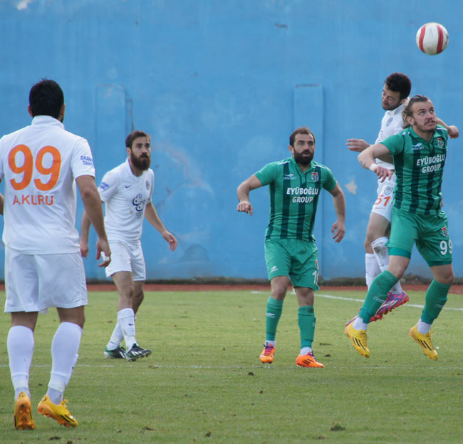 paars1.jpg paars1.jpg