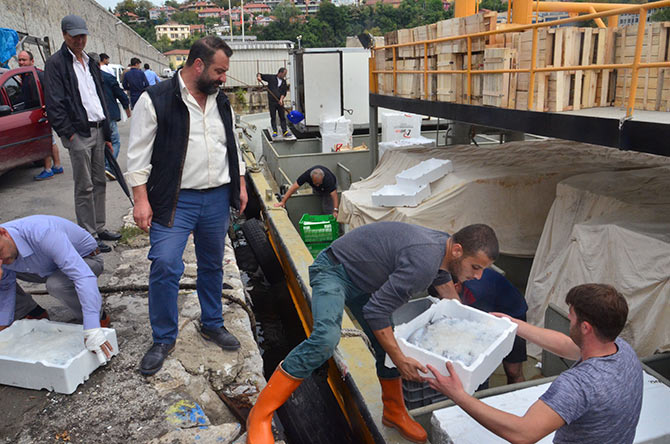 palamut2.jpg palamut2.jpg