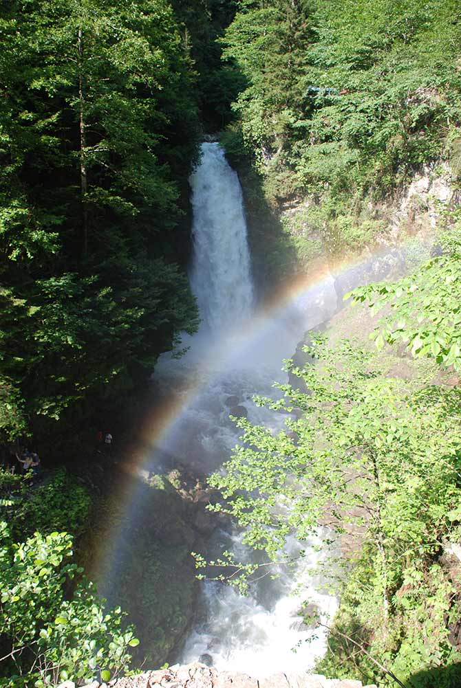 palovit_selalesi.jpg palovit_selalesi.jpg