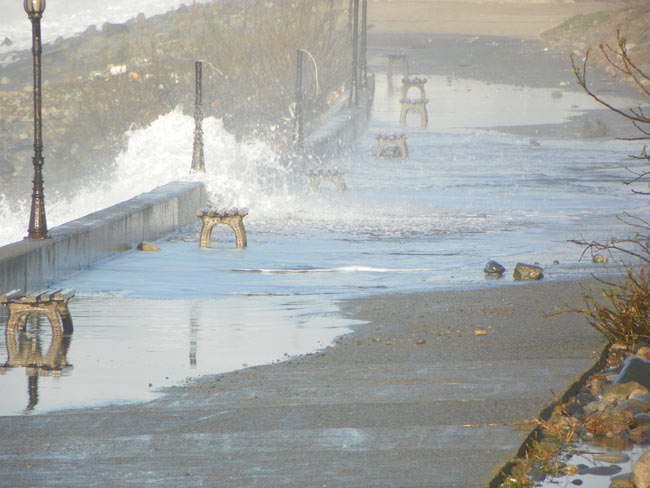 paz1.20130324180435.jpg paz1.20130324180435.jpg