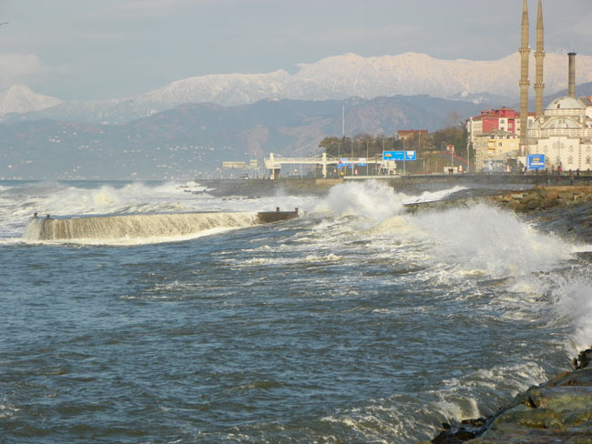 paz3.20130324180507.jpg paz3.20130324180507.jpg