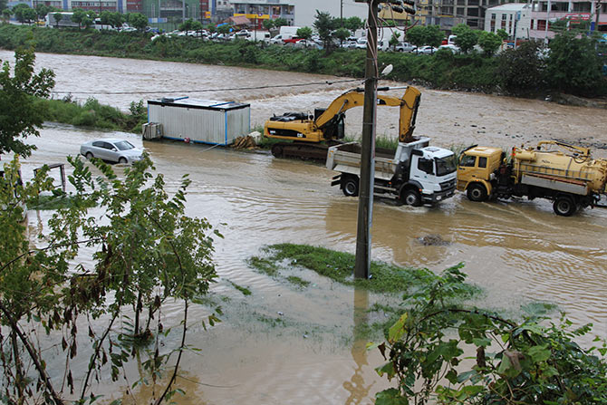 paz4-013.jpg paz4-013.jpg