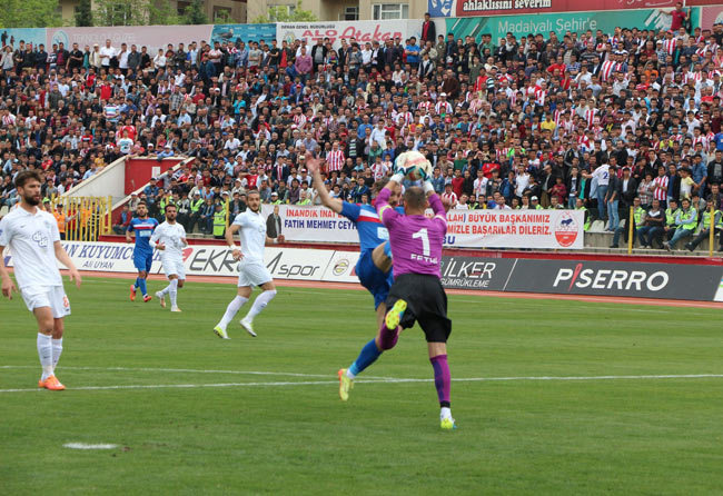 paz4.20150503163837.jpg paz4.20150503163837.jpg