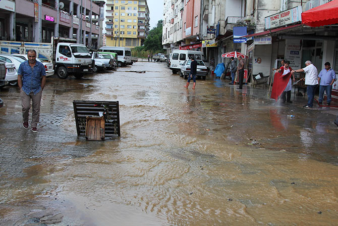 paz8-006.jpg paz8-006.jpg