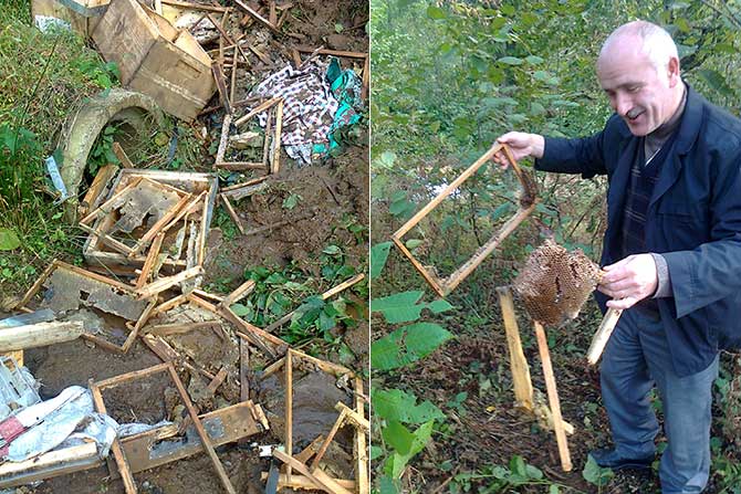 petek2.jpg petek2.jpg