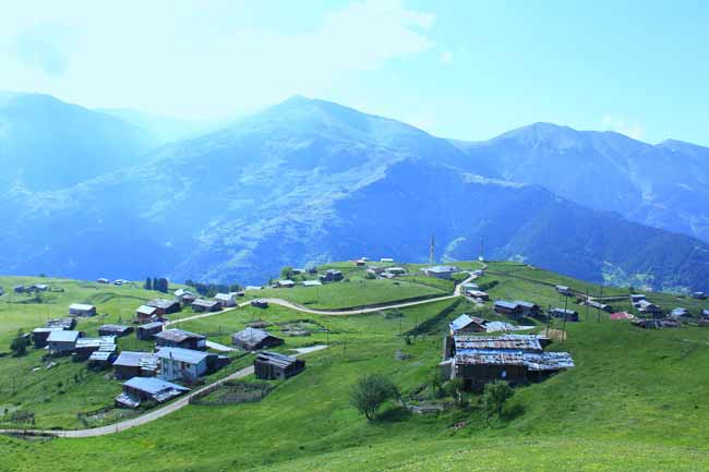 petran4.jpg petran4.jpg