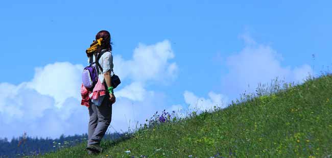 petran5.jpg petran5.jpg