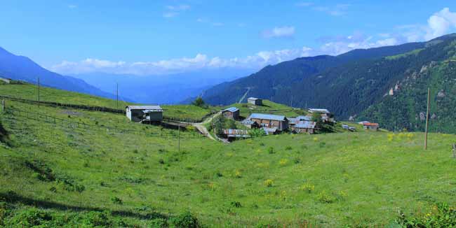 petran6.jpg petran6.jpg