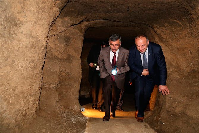 pleki1.jpg pleki1.jpg