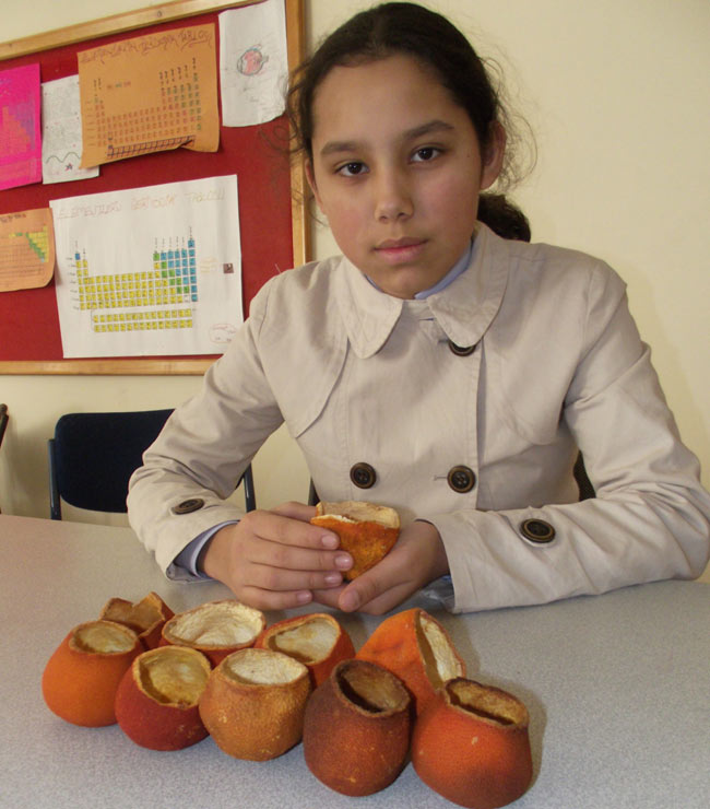 portakalkabugu2.jpg portakalkabugu2.jpg