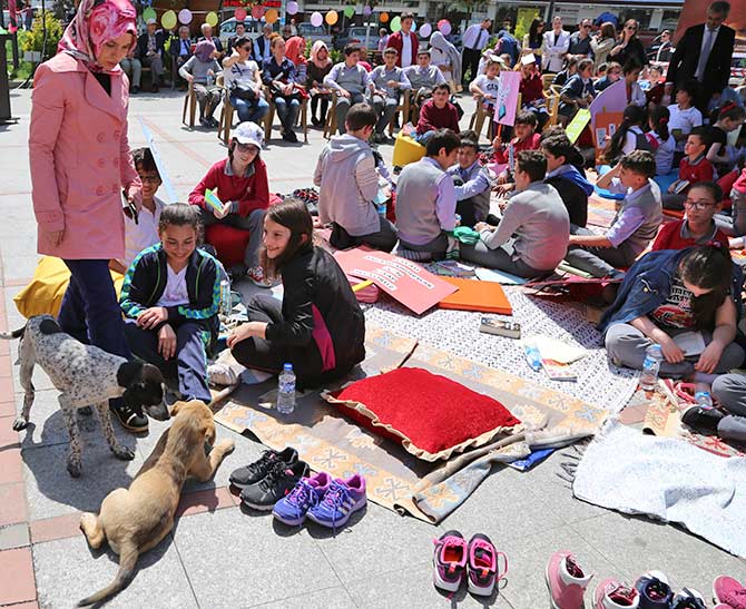 renk5-001.jpg renk5-001.jpg