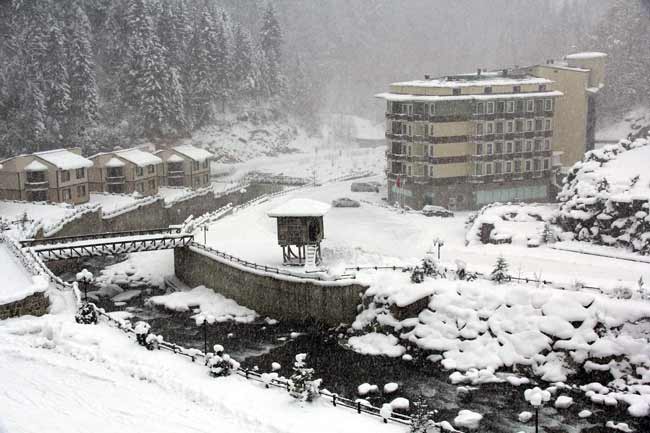 ridos1.jpg ridos1.jpg