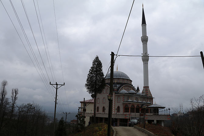 riz7-010.jpg riz7-010.jpg