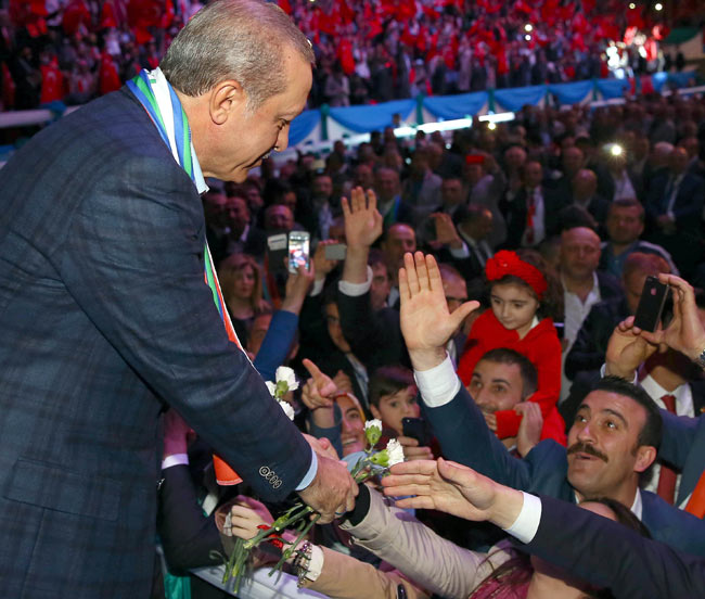 riz7.20150503203220.jpg riz7.20150503203220.jpg