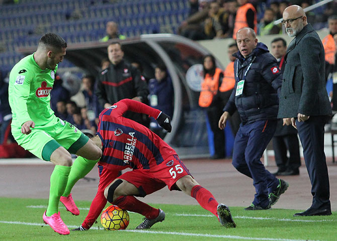 riz8-001.jpg riz8-001.jpg