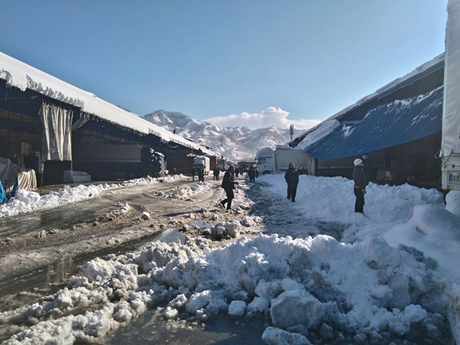 rizehal1.jpg rizehal1.jpg