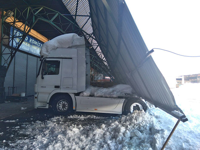 rizehal3.jpg rizehal3.jpg