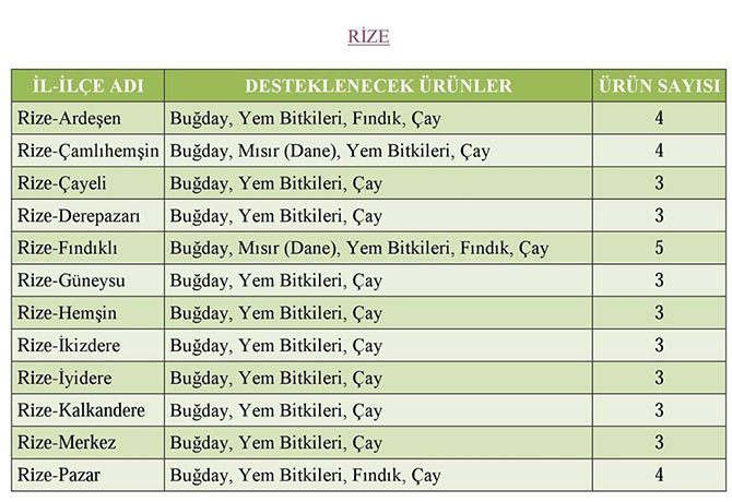 rizeurun.jpg rizeurun.jpg