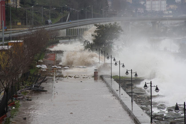 sahil1.jpg sahil1.jpg