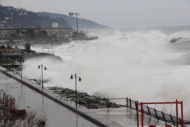 sahil3.jpg sahil3.jpg