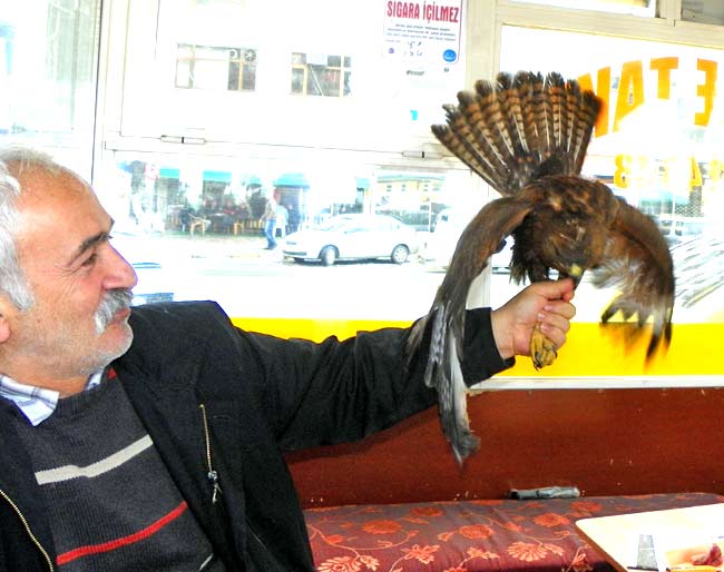 sahin1.jpg sahin1.jpg