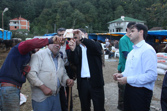 sahtepara1.20131010143724.jpg sahtepara1.20131010143724.jpg