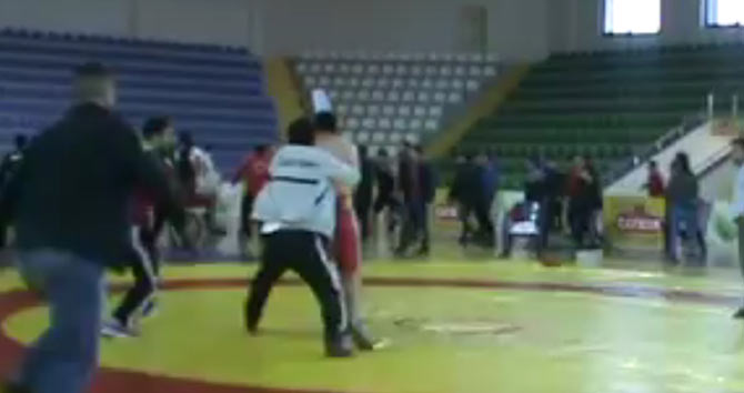 sald1-001.jpg sald1-001.jpg