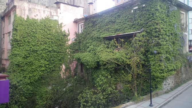 sarmasik2.jpg sarmasik2.jpg