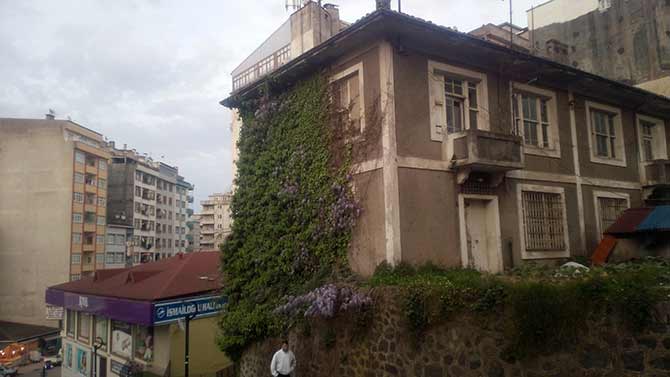 sarmasik3.jpg sarmasik3.jpg