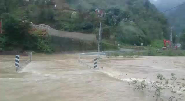 sel1-003.jpg sel1-003.jpg