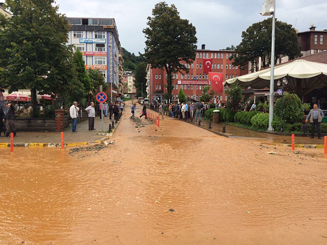 sel1-004.jpg sel1-004.jpg