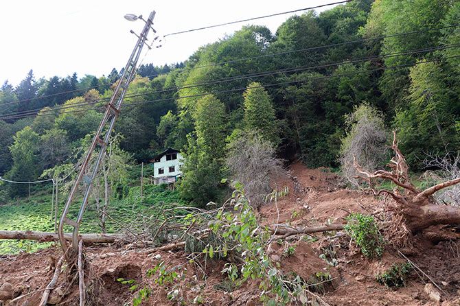 sel1-007.jpg sel1-007.jpg