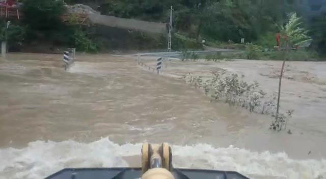 sel2-002.jpg sel2-002.jpg