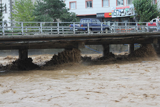 sel6-002.jpg sel6-002.jpg