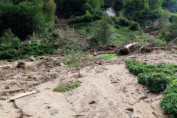 sel6-003.jpg sel6-003.jpg