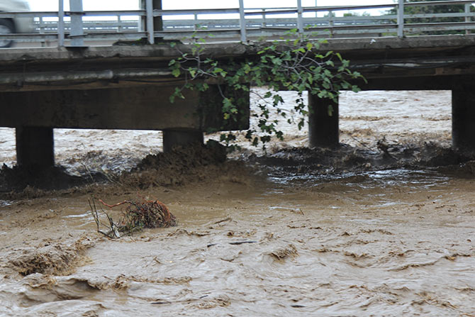 sel7-002.jpg sel7-002.jpg