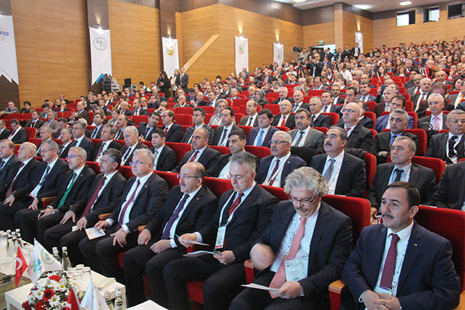 semp2-001.jpg semp2-001.jpg