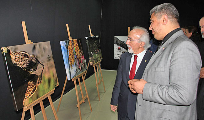 serg2.20150408132129.jpg serg2.20150408132129.jpg