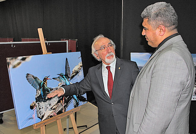 serg4.20150408132105.jpg serg4.20150408132105.jpg