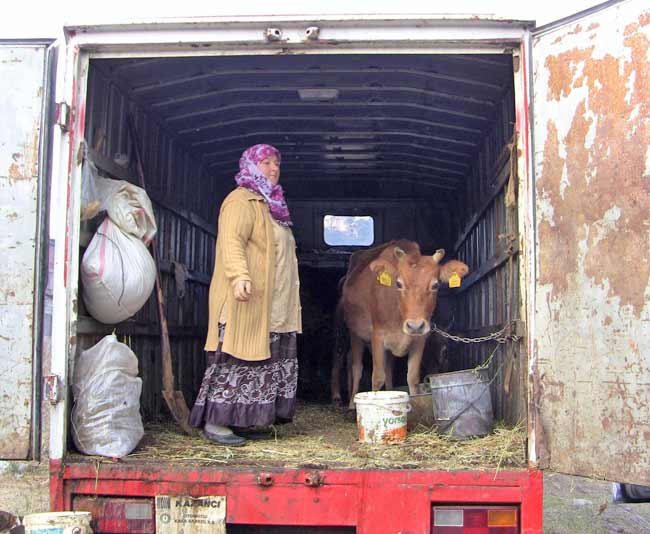 seyyarahir1.jpg seyyarahir1.jpg