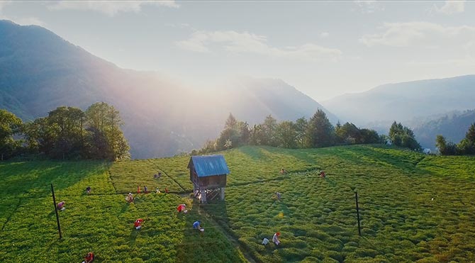 sezen2.jpg sezen2.jpg