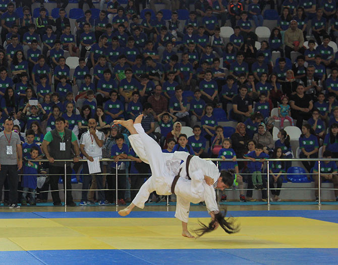 spor3-001.jpg spor3-001.jpg