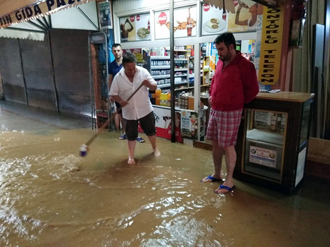 subaskini4.jpg subaskini4.jpg