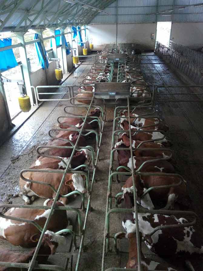 sut2-001.jpg sut2-001.jpg