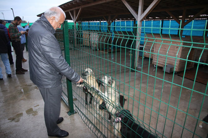 tablo1.jpg tablo1.jpg