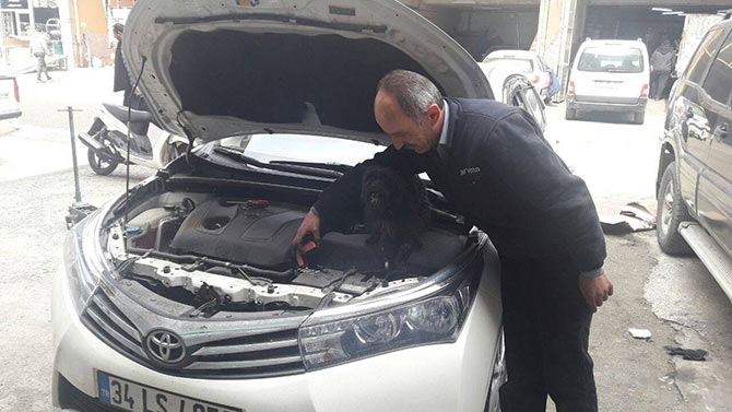 tamirci3.jpg tamirci3.jpg