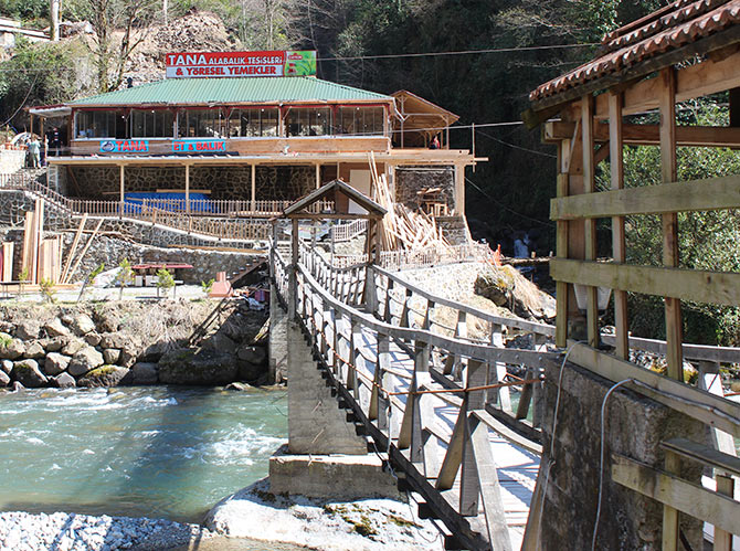 tana06.jpg tana06.jpg